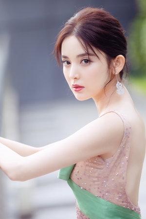 精英律师电视剧全集免费观看